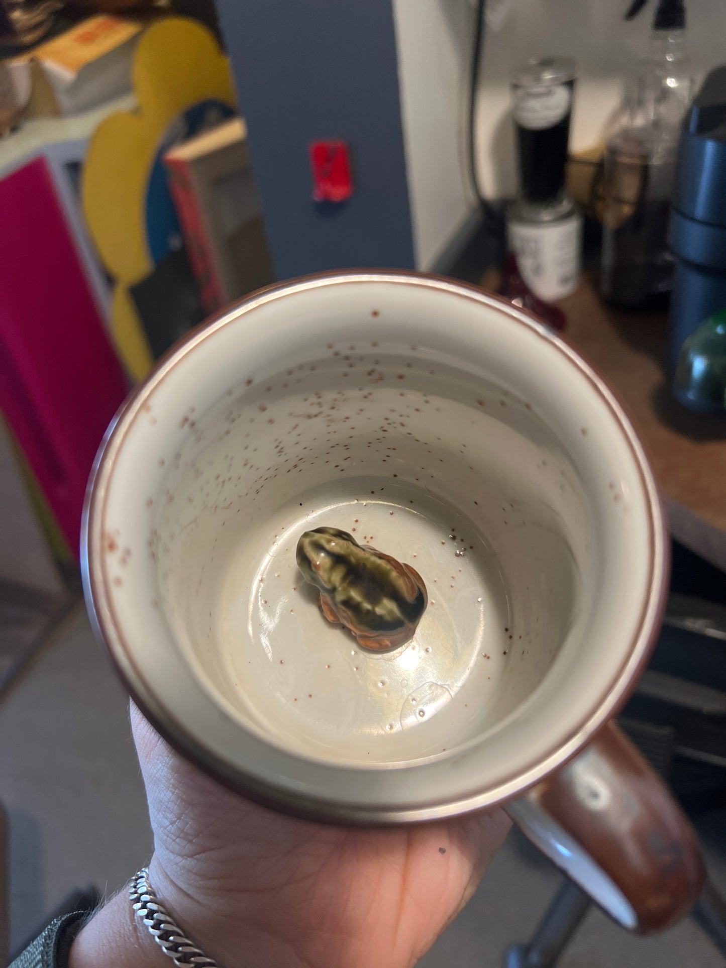 Frog Surprise Mug