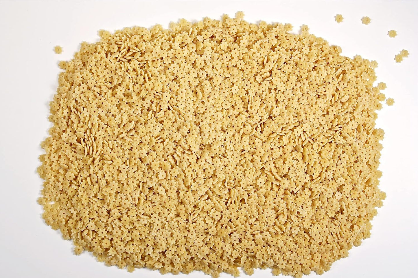 La Moderna Pasta, Stars